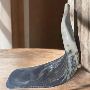 XXL Classical Ram's Horn Kosher Shofar 25" Ram 63 CM Full Natural Easy To blow - Picture 1 of 11
