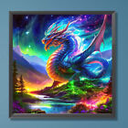 Paint By Numbers Kit On Canvas DIY Oil Art Colored Dragon Picture Decor 40x40cm
