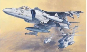 1:48 Hasegawa Av-8B Harrier Ii Plus Ha07228 Kit HASPT28 Modellino - Imagen 1 de 2
