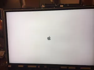 LM240WU2 (SL) B1 , B2, B3 Apple iMac A1225 24" 2007-2008 LCD Screen Panel - Picture 1 of 10