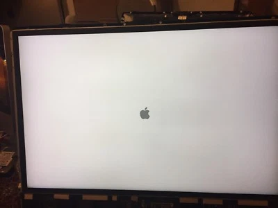 LM240WU2 (SL) B1 , B2, B3 Apple iMac A1225 24" 2007-2008 LCD Screen Panel - Image 1 of 4