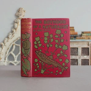 Rare Antique Old Book Naturalist ~1911 Butterfly Snails Crabs Sea Fish Land ⭐ - Picture 1 of 24
