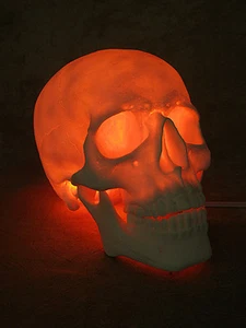 Pantalla de cráneo de dos piezas iluminada, utilería de Halloween, cráneos humanos NUEVO - Imagen 1 de 9
