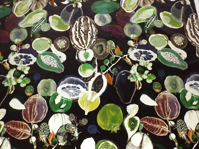 GREMIO DE DISEÑADORES SUAVE MANAOS ÓNIX FRUTAS EXÓTICAS TERCIOPELO 53" X 44" 1m34cm x 1m12cm Foto 1 de 4