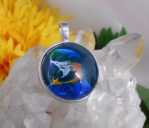 Ketten Anhänger Papagei Glas Cabochon - Amulett - Anhänger mit Öse - Bild 1 von 3