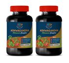 Ashwagandha Blood Pressure, Ashwagandha Root Complex, Energy Boosting Vitamin 2B