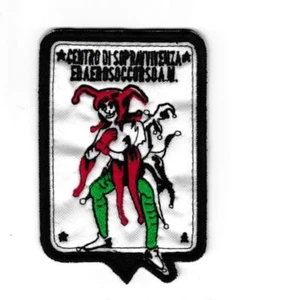 [Patch] CENTRO SOPRAVVIVENZA AEROSOCCORSO 6,5 x 9,5 cm toppa ricamo replica-095 - Imagen 1 de 1