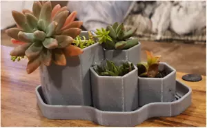 Hexagonal Planter | Unique Planters | Succulent Planter | Unique Home Decor - Picture 1 of 12