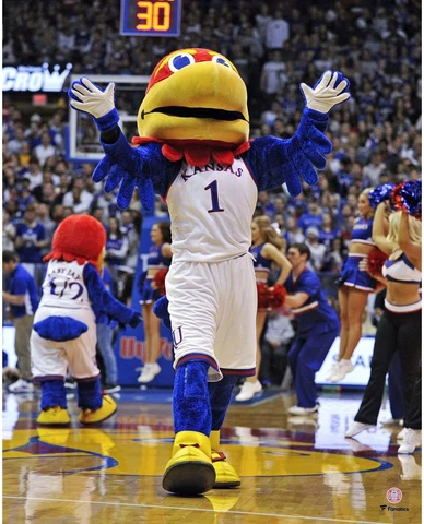 Kansas Jayhawks Unsigned Big Jay Crowd Entertaining 16x20 Photo Cover