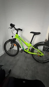 Kinderfahrrad Grün 20 Zoll Zustand gebraucht preis verhandelbar  - Bild 1 von 1
