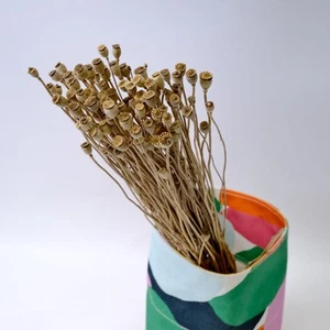 2 Bunches Poppy Natural Dried Preserved Flower AU STOCK - Picture 1 of 3