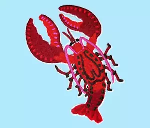 LANGOSTA ROJA MARINA ANIMAL MARINO AVENTURA OCÉANO HIERRO EN PARCHE - Imagen 1 de 2