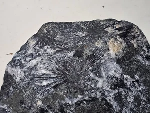 Großer schwarzer Shorl Turmalin Kristall sprüht auf Quarz - Champion Mine Michigan - Bild 1 von 9
