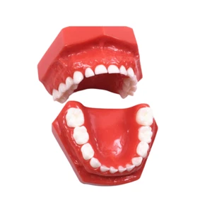 Cepillo de dientes de leche pediátrico de 1 pieza para niños estudio dental - Imagen 1 de 13