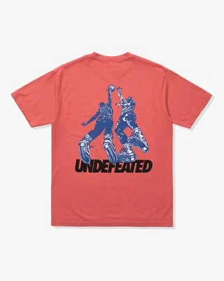 Undefeated Contact Tee Holiday 2023 (Large, Faded Red) - Image 1 of 4
