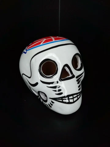Detroit Pistons, NBA, Skull, Ceramic, Clay Figure, Hand made, Gift, Decor Cover