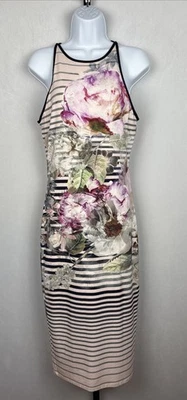 Vestido midi Ted Baker Laya Peonía sin mangas talla 4-6 floral a rayas ceñido al cuerpo arte Foto 1 de 4