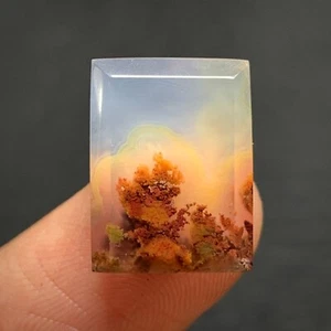 Winziger malerischer Moosachat Cabochon 15 x 11,5 x 4 mm hochwertig 8 ct - Bild 1 von 6