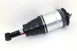 Magnum Technology APL015MT Luftfederbein für LAND ROVER - Picture 1 of 6