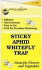 50 Pack STICKY APHID WHITEFLY TRAPS by Seabright Laboratories 4 inch by 7 inch