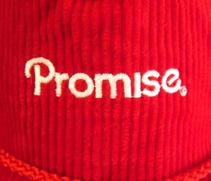 PROMISE Light Butter 1980s corduroy hat Healthy Heart embroidery snapback cap - Picture 1 of 2