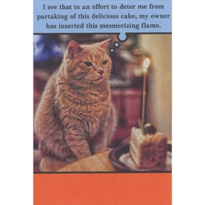 Cat Looking at Candle on Cake Mesmerizing Flame Funny / Humorous Birthday Card - Picture 1 of 2