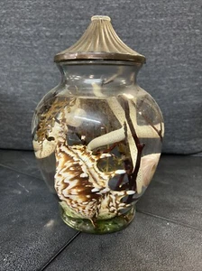 Velas de por vida White River Designs Seashell vela de aceite de cilindro grande. - Imagen 1 de 9