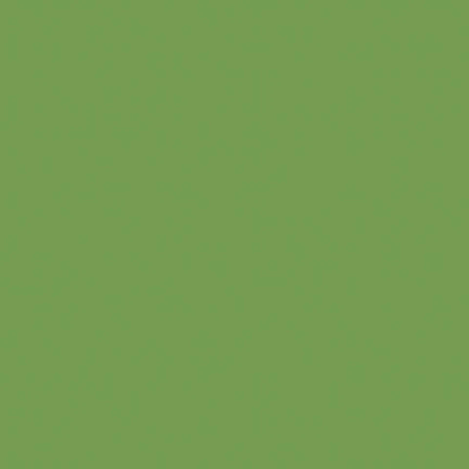 BASIL GREEN ~ SOLID Confetti Cotton ~ by Riley Blake ~ Quilting Fabric - Image 1 of 1