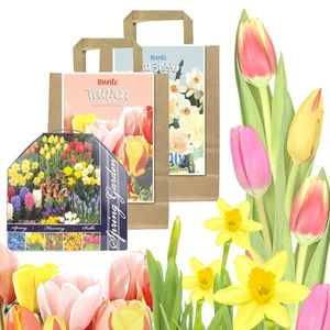 Blumenzwiebeln Sets in Geschenkverpackung - Tulpen Narzissen Zwiebeln für Garten - Bild 1 von 12