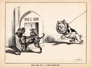 Stampa umoristica Bulldog francese vintage anni 40 illustrazione cane umoristico di Zito 6294 - Foto 1 di 2
