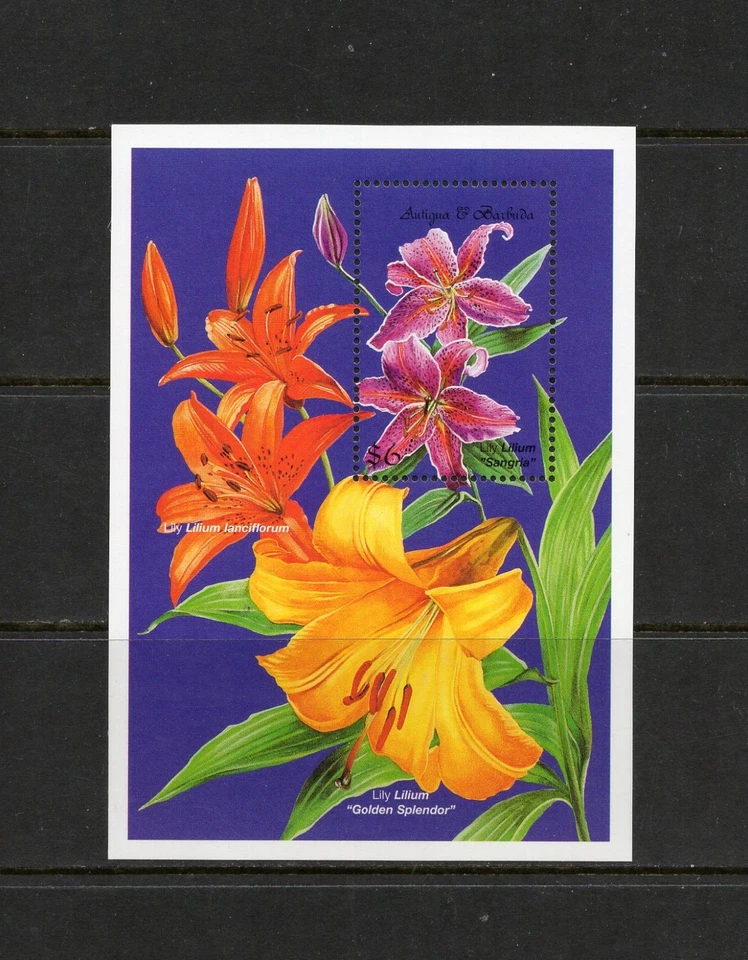 S5823   Antigua  1999   flora  flowers   SHEET   MNH - Image 1 of 1
