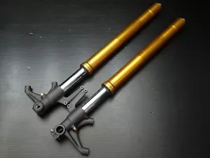 Triumph Daytona 675 Genuine Front Fork TR-B-016 Used First Come First Served - Bild 1 von 6