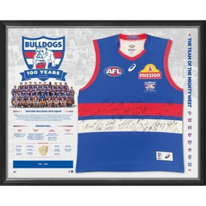 Western Bulldogs 100 Year Team Signed Guernsey Display - Picture 1 of 1