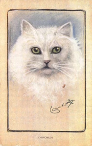 'Chinchilla' Signed Artist Ernest Mills Postcard - Picture 1 of 2