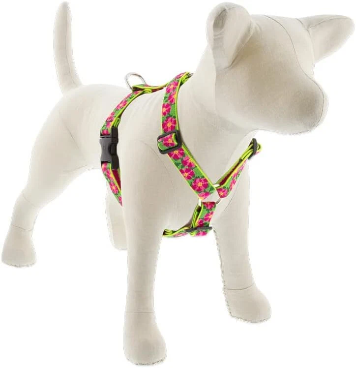 Arnés ajustable Lupine para perros en petunias de 1" de ancho con circunferencia de 24-38", arneses Foto 1 de 1