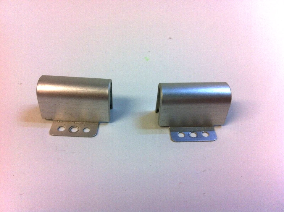 600650-001 HP LCD PANTALLA BISAGRA CUBIERTA PLATA PABELLÓN G62 G62-234DX 121 Foto 1 de 1