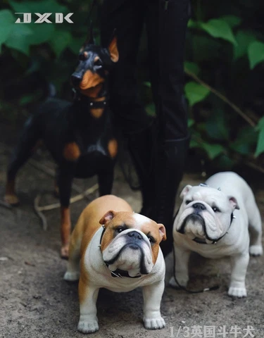 Mr.Z JXK 1:3 BullDog Animal Resin Simulation Toy figure statue in stock Cover