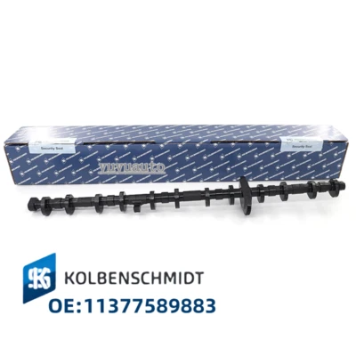 Eje excéntrico Valvetronic OEM para BMW 335i 535i 640i 740i X3 X5 X6 N55 3,0 L Foto 1 de 4