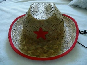 Fedora Hat For Kids Boys/Girls Grass Straw Light Weight Great Summer Beach Hat - Picture 1 of 8
