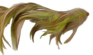 Piume da mulino vintage 15" marrone chiaro, verde lime, beige - Foto 1 di 6