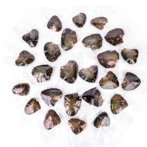 Lots Natural Akoya Pearl Oysters Real Pearl Freshwater Pearl Holiday Gift - Picture 1 of 12