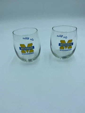 2 Michigan Wolverines McCloud Drinking Rock Glasses Cover