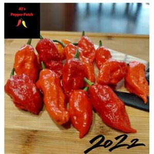 20 Pepper Seeds Ghost Bhut Jolokia Red Super-Hot Pepper Seeds FREE SHIPPING