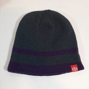 Scion Gray & Purple Knit Winter Beanie Hat One Size - Picture 1 of 4
