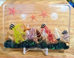 Novelty Home Decor Ocean Sea Shells Beach Art Ornament Paperweight Nautical ss65 - Picture 1 of 1