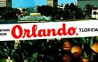 1970'S Greetings From Orlando, Fl. Postcard Split View Of City And Citrus Trees