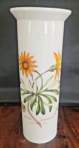 Vintage Portmeirion Botanic Garden Cylinder Vase-African Daisy @ 28 cms - Picture 1 of 7