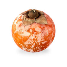 Sculpture Khaki Fruit Of Marble Hand-Painted Hand Painted Marble Persimmon Art