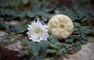 Exclusive 100 % natural Goat Milk and Honey Organic Soap A - Picture 1 of 6