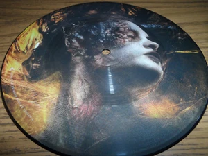 DISTURBED INSIDE THE FIRE 7" PICTURE DISC RECORD BRAND NEW - Picture 1 of 3